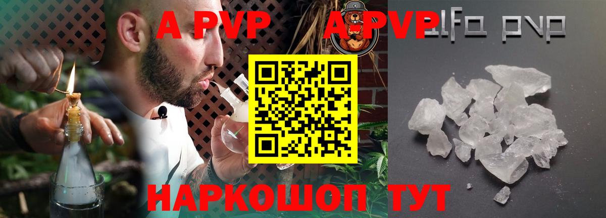 A PVP СК КРИС Таганрог