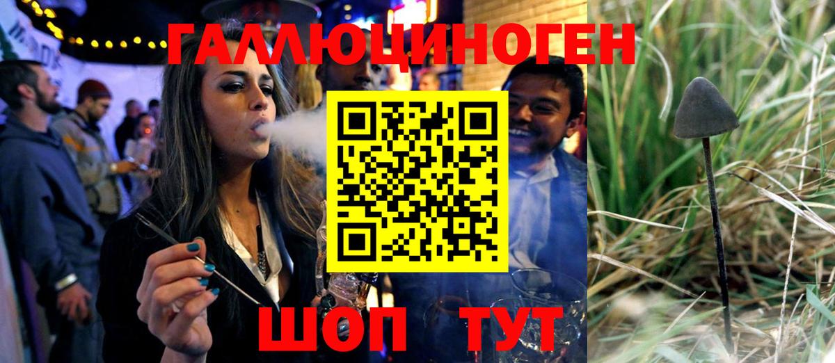 Галлюциногенные грибы Psilocybe Таганрог